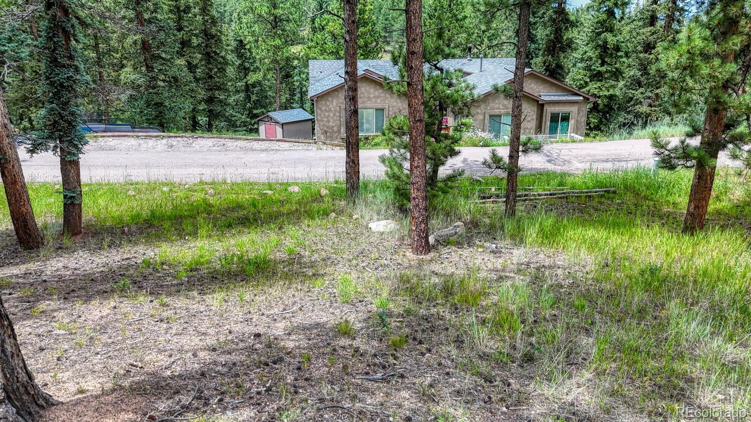 215 Iron Eagle Point Woodland Park CO 80863