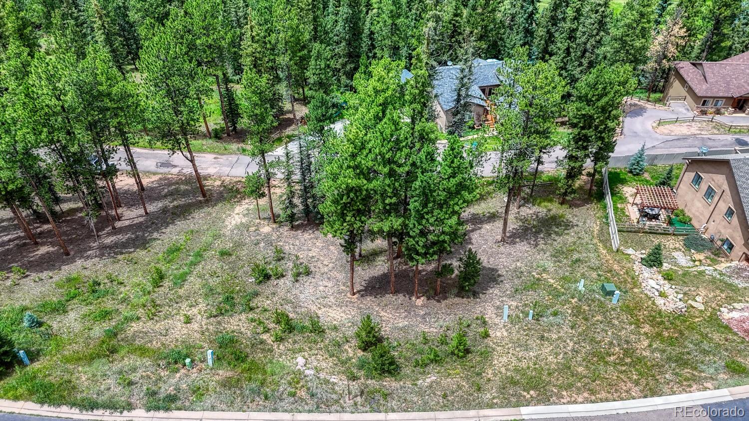 215 Iron Eagle Point Woodland Park CO 80863