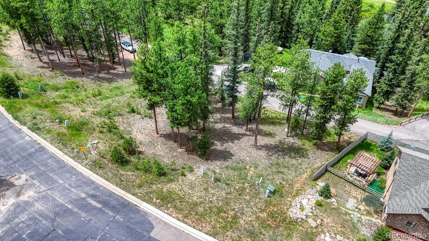 215 Iron Eagle Point Woodland Park CO 80863