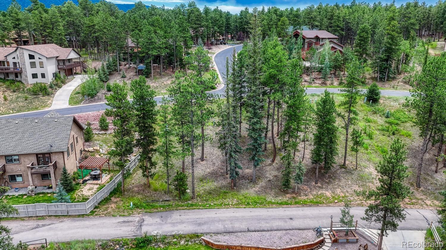 215 Iron Eagle Point Woodland Park CO 80863