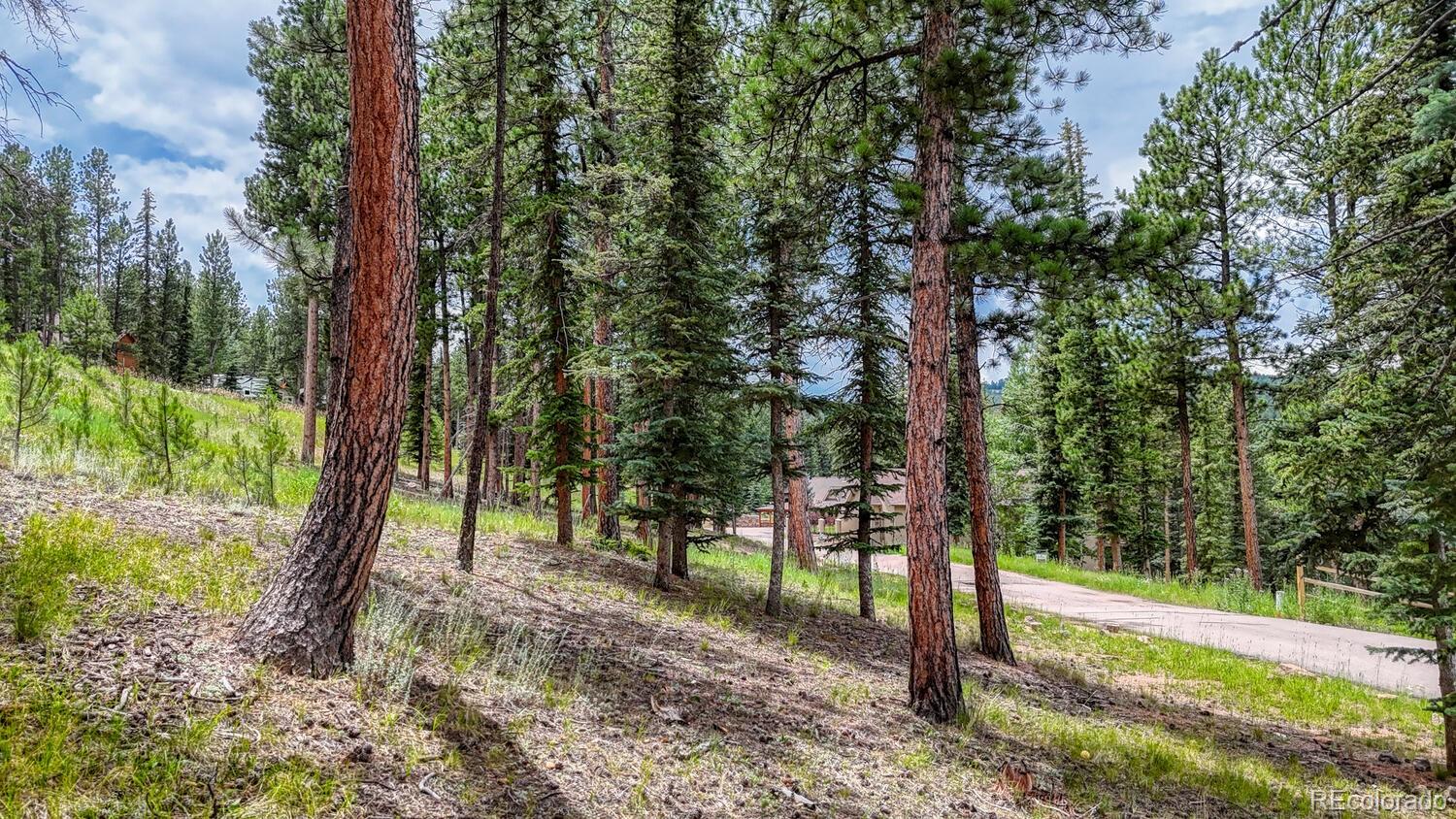 215 Iron Eagle Point Woodland Park CO 80863