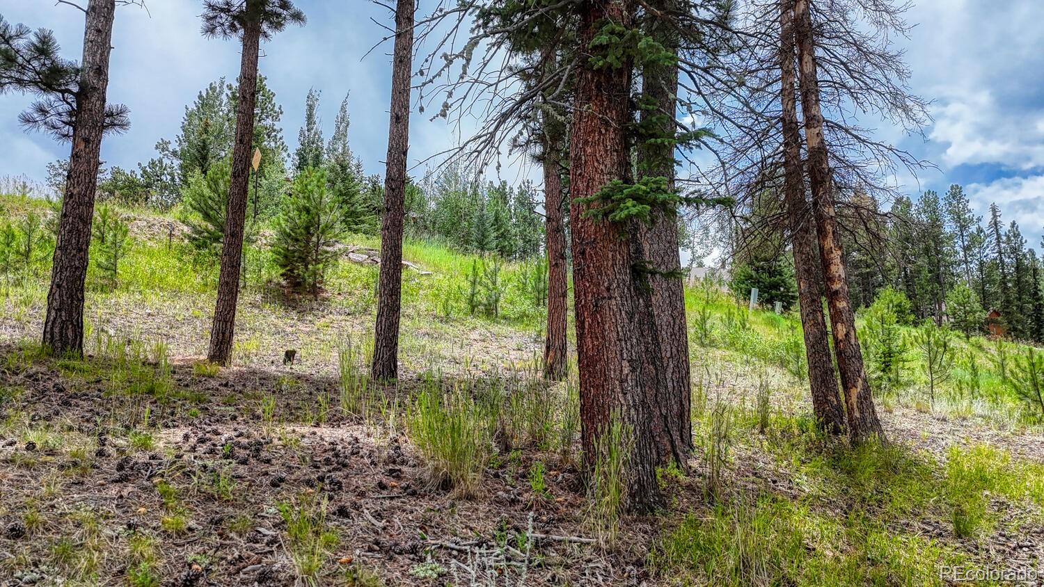 215 Iron Eagle Point Woodland Park CO 80863