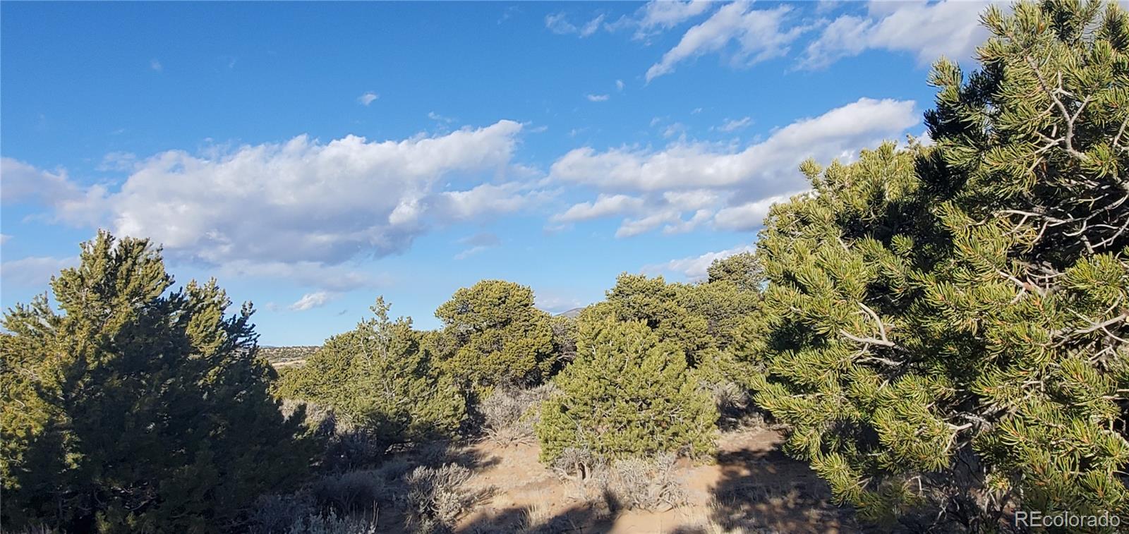Lot 1057 Hotchkiss Road Fort Garland CO 81133