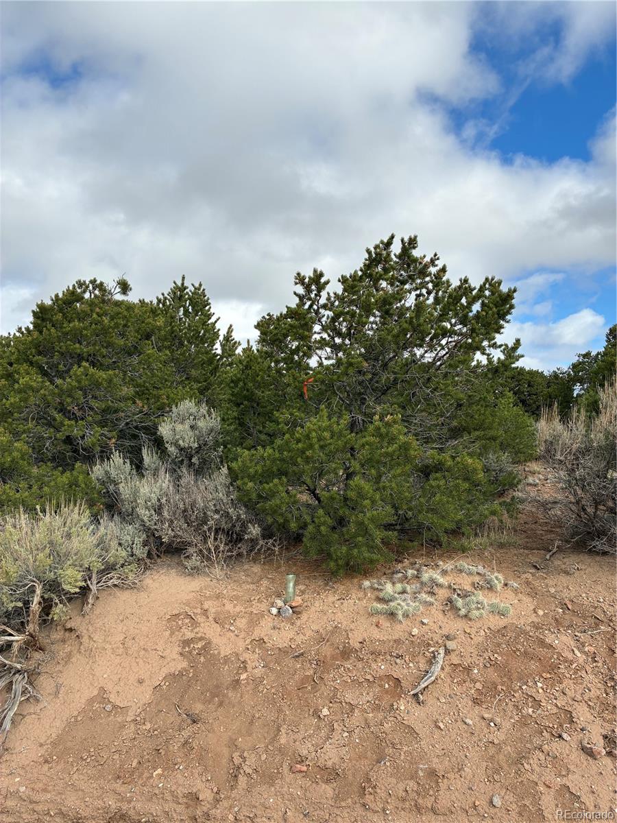 Lot 1057 Hotchkiss Road Fort Garland CO 81133