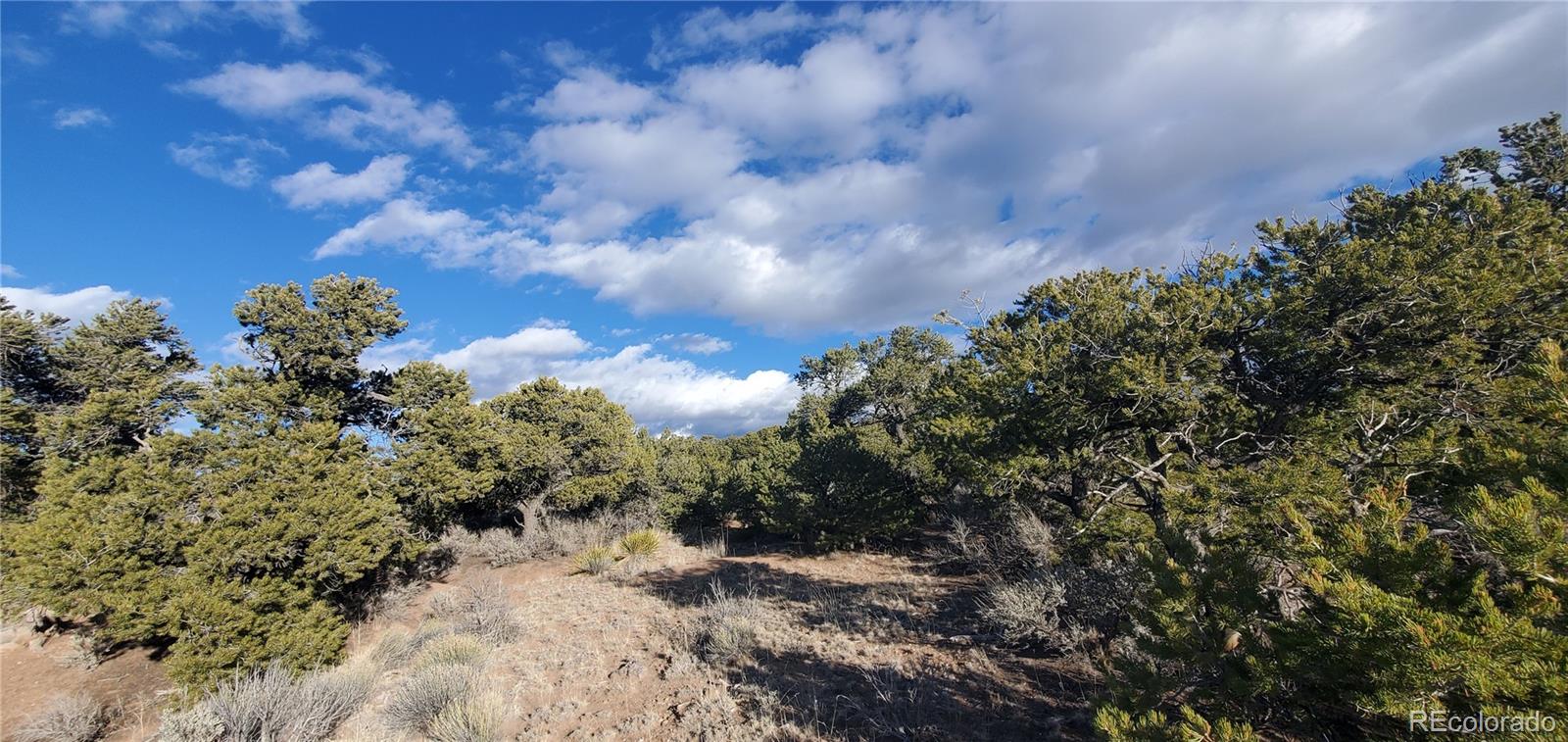Lot 1057 Hotchkiss Road Fort Garland CO 81133