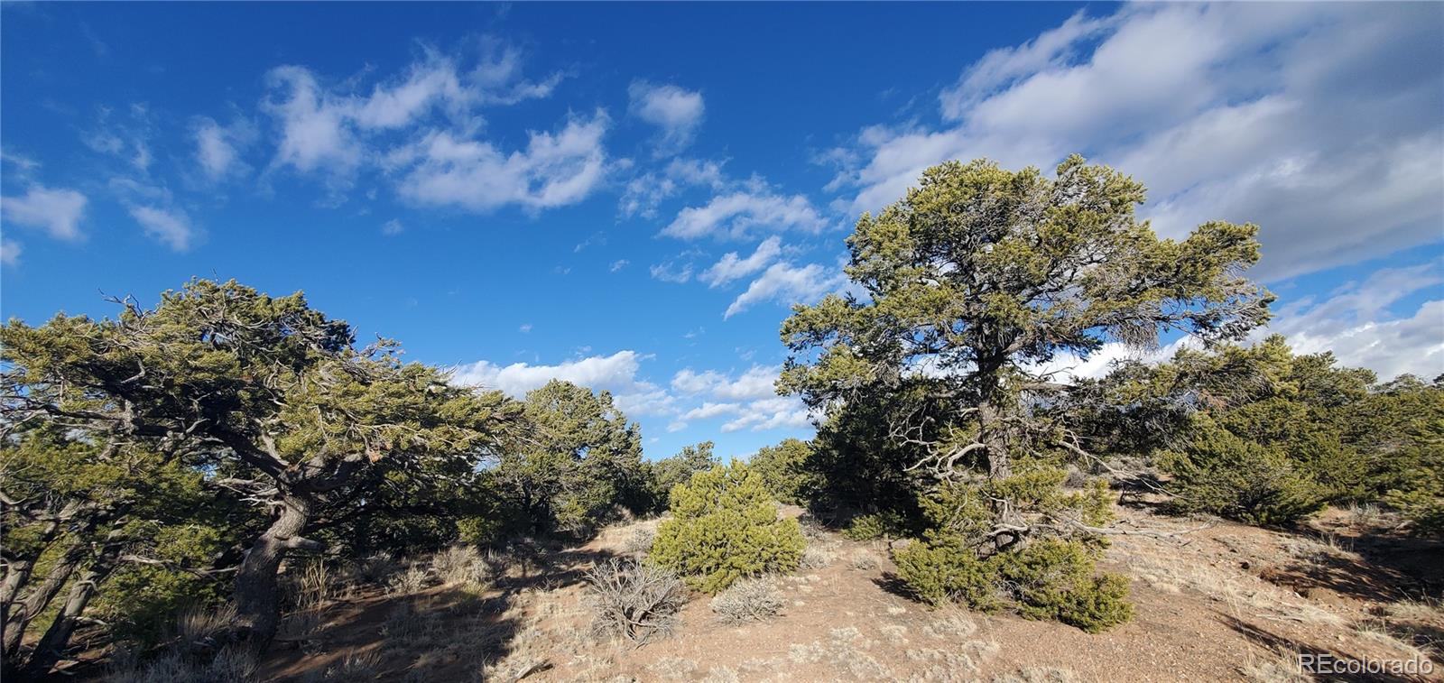 Lot 1057 Hotchkiss Road Fort Garland CO 81133