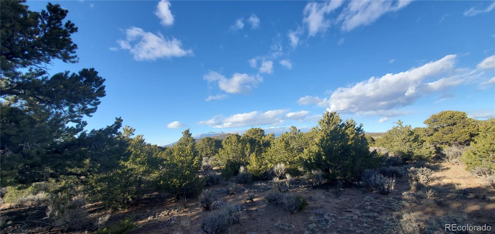 Lot 1057 Hotchkiss Road Fort Garland CO 81133