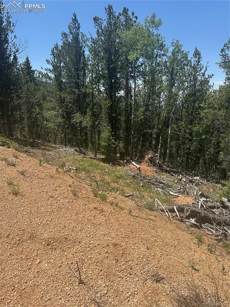 110 Brown Bear Lane Cripple Creek CO 80813