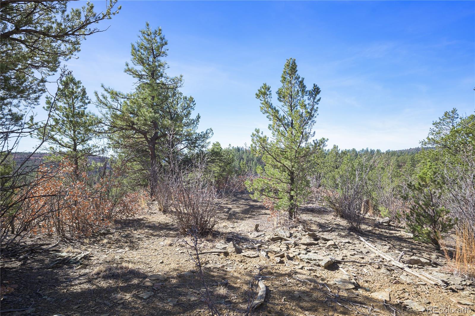 Rancho La Garita Lot 1129 Weston CO 81091