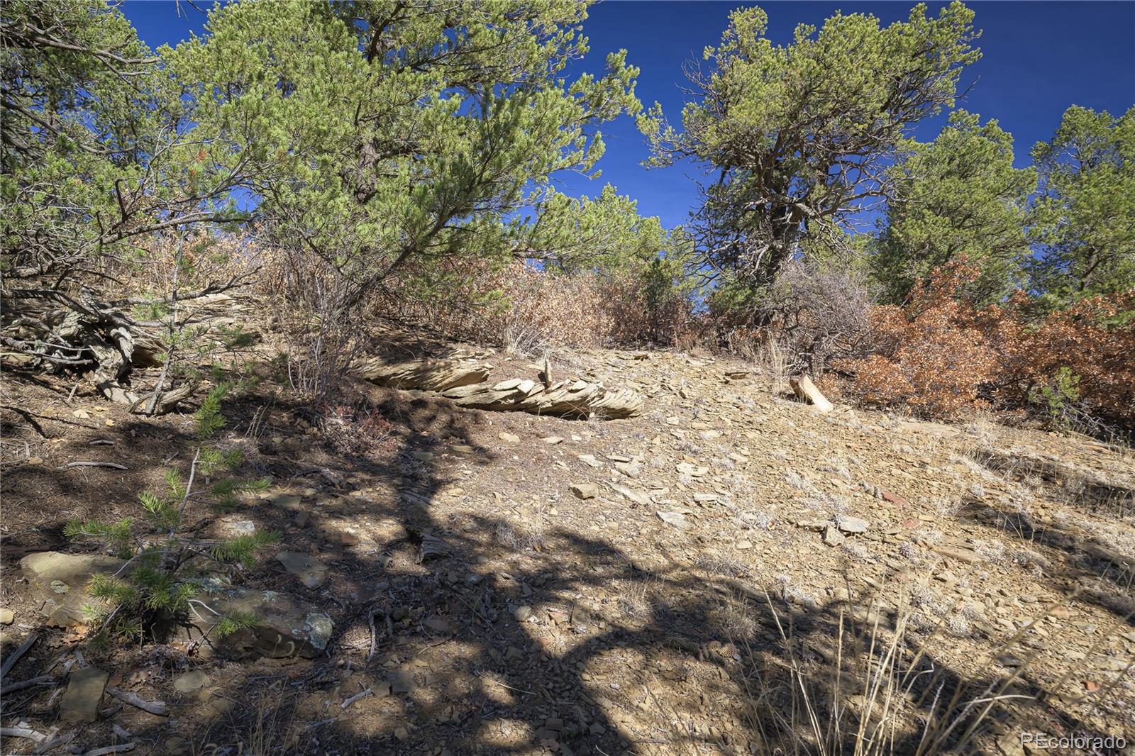 Rancho La Garita Lot 1129 Weston CO 81091