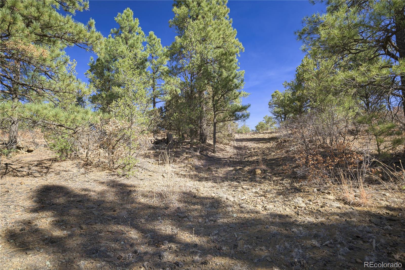 Rancho La Garita Lot 1129 Weston CO 81091