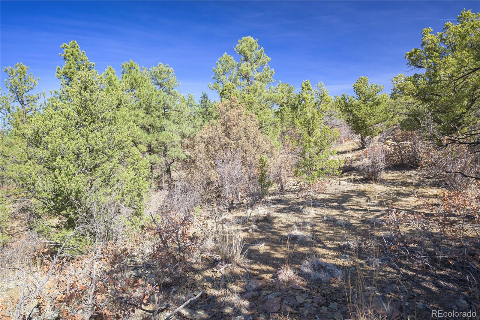 Rancho La Garita Lot 1129 Weston CO 81091