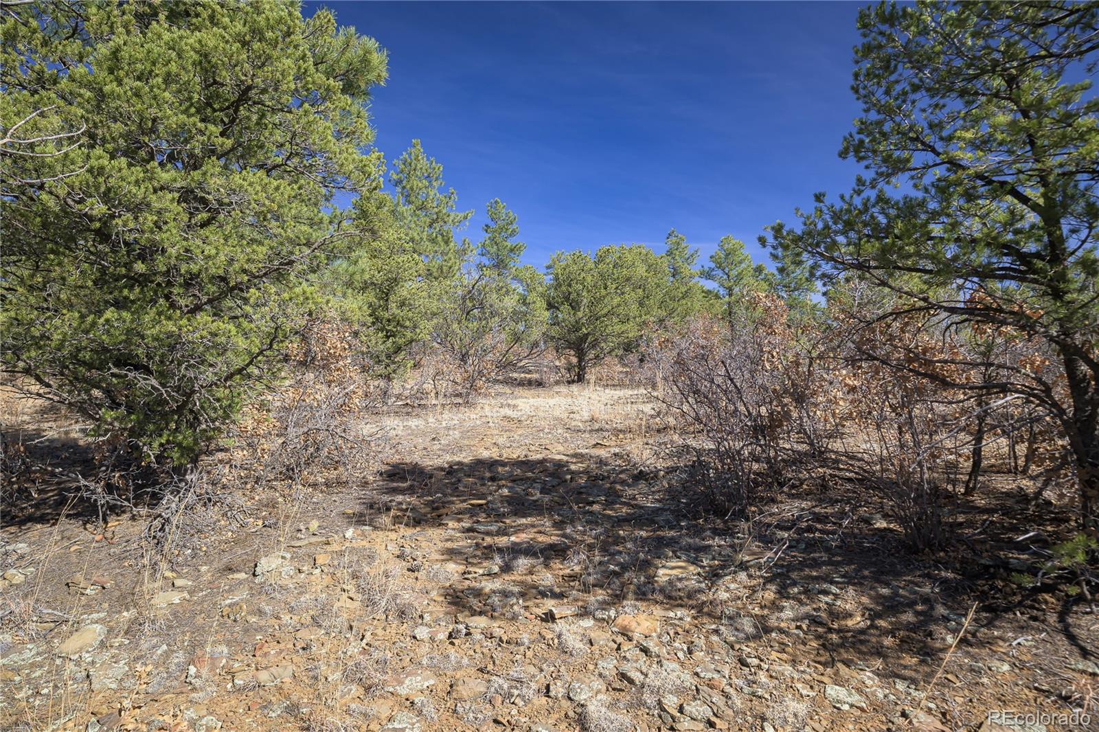 Rancho La Garita Lot 1129 Weston CO 81091