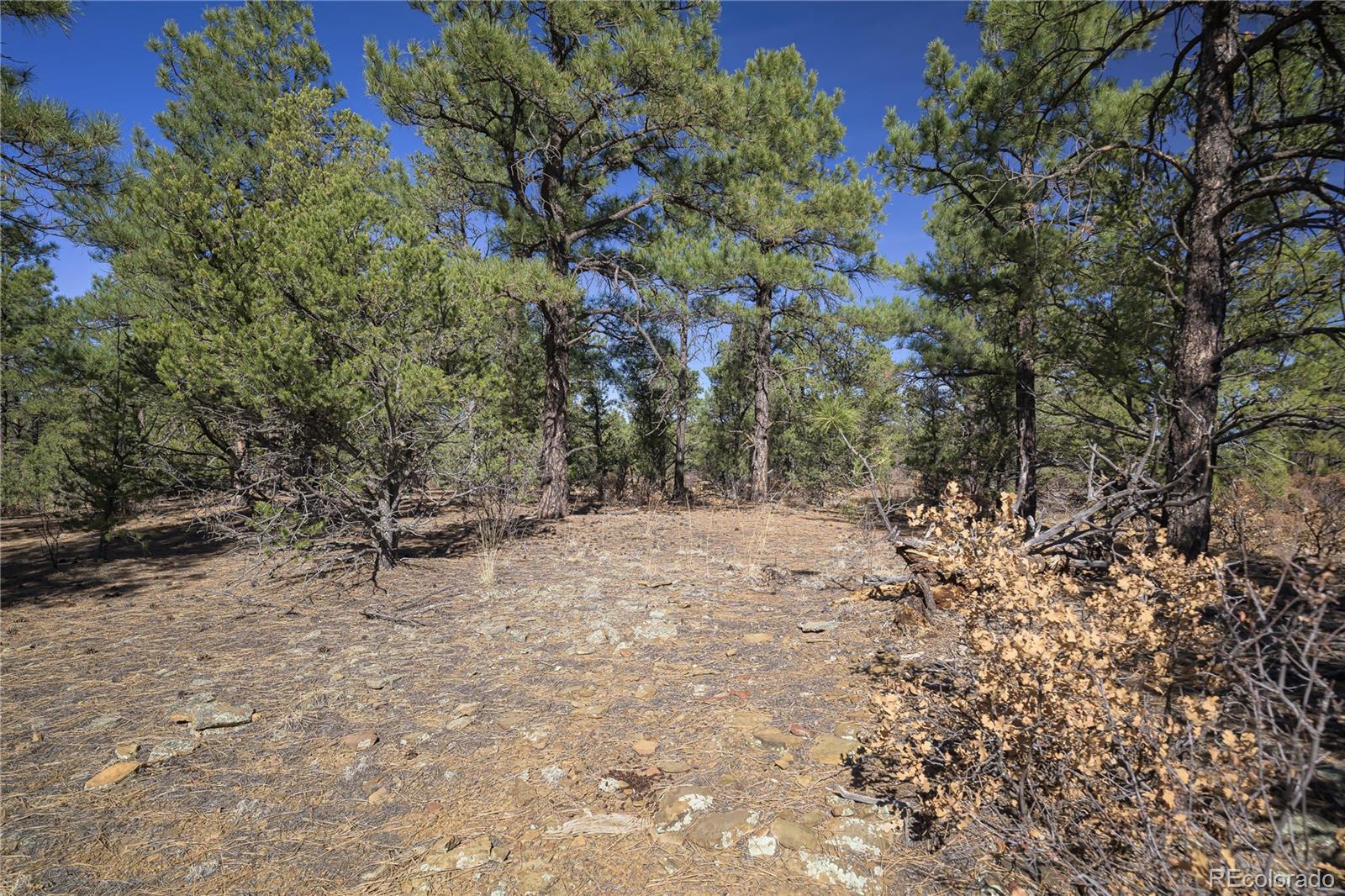 Rancho La Garita Lot 1129 Weston CO 81091