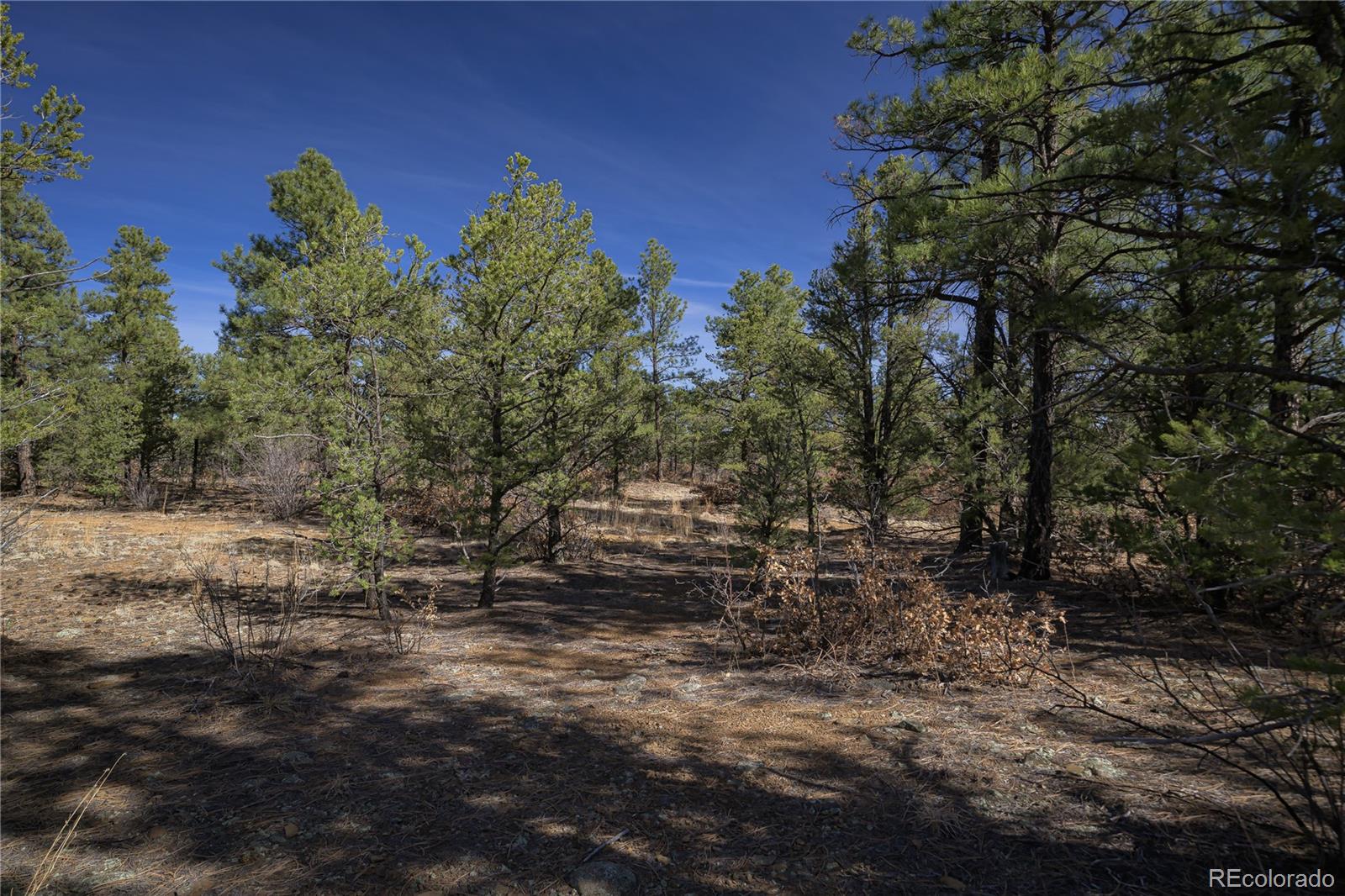 Rancho La Garita Lot 1129 Weston CO 81091