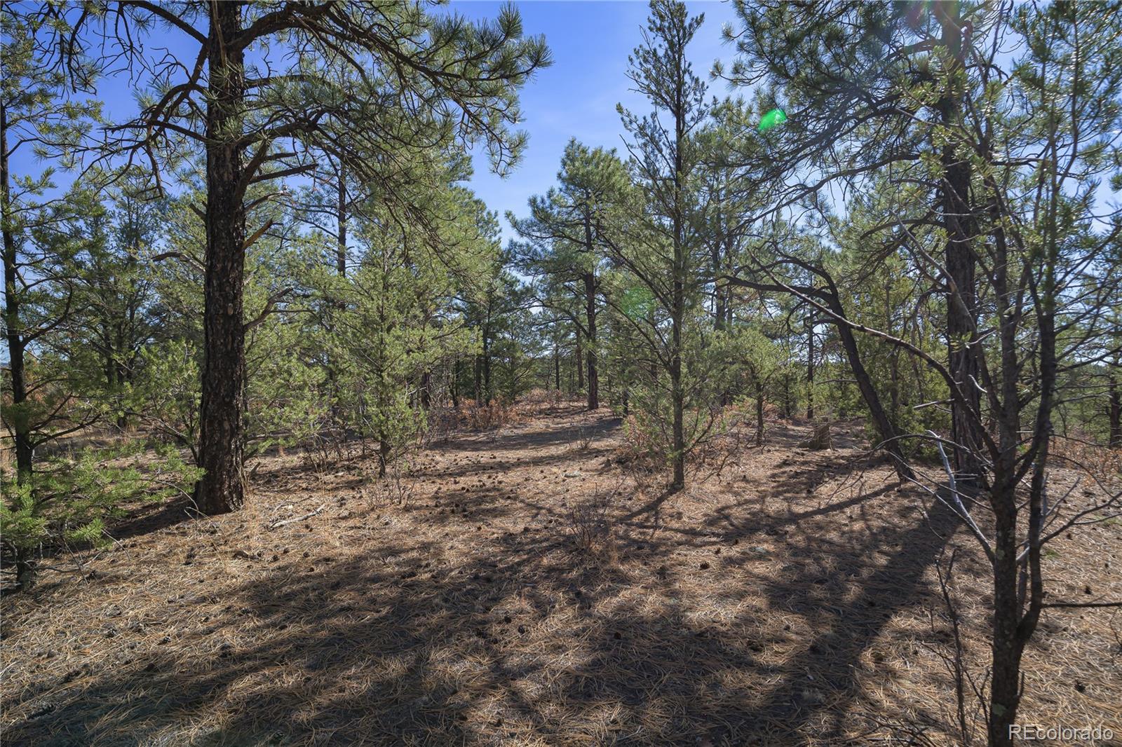Rancho La Garita Lot 1129 Weston CO 81091