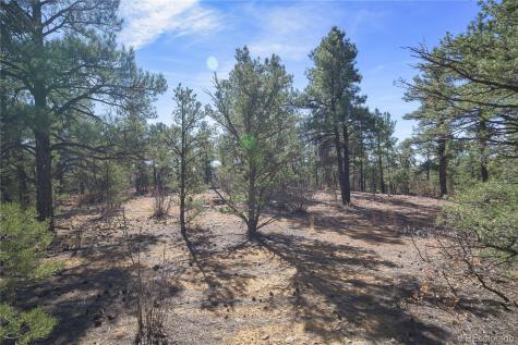 Rancho La Garita Lot 1129 Weston CO 81091