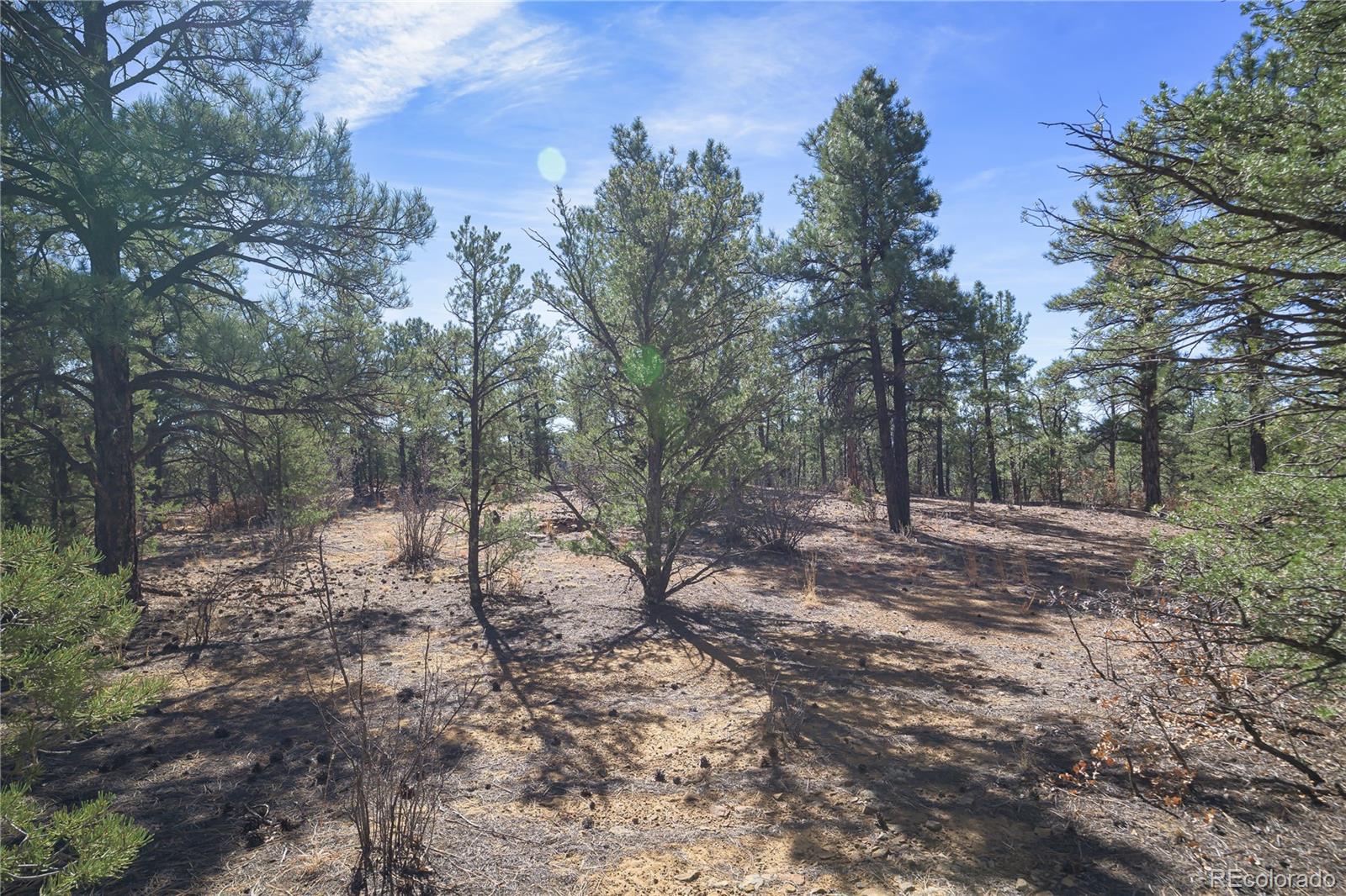Rancho La Garita Lot 1129 Weston CO 81091