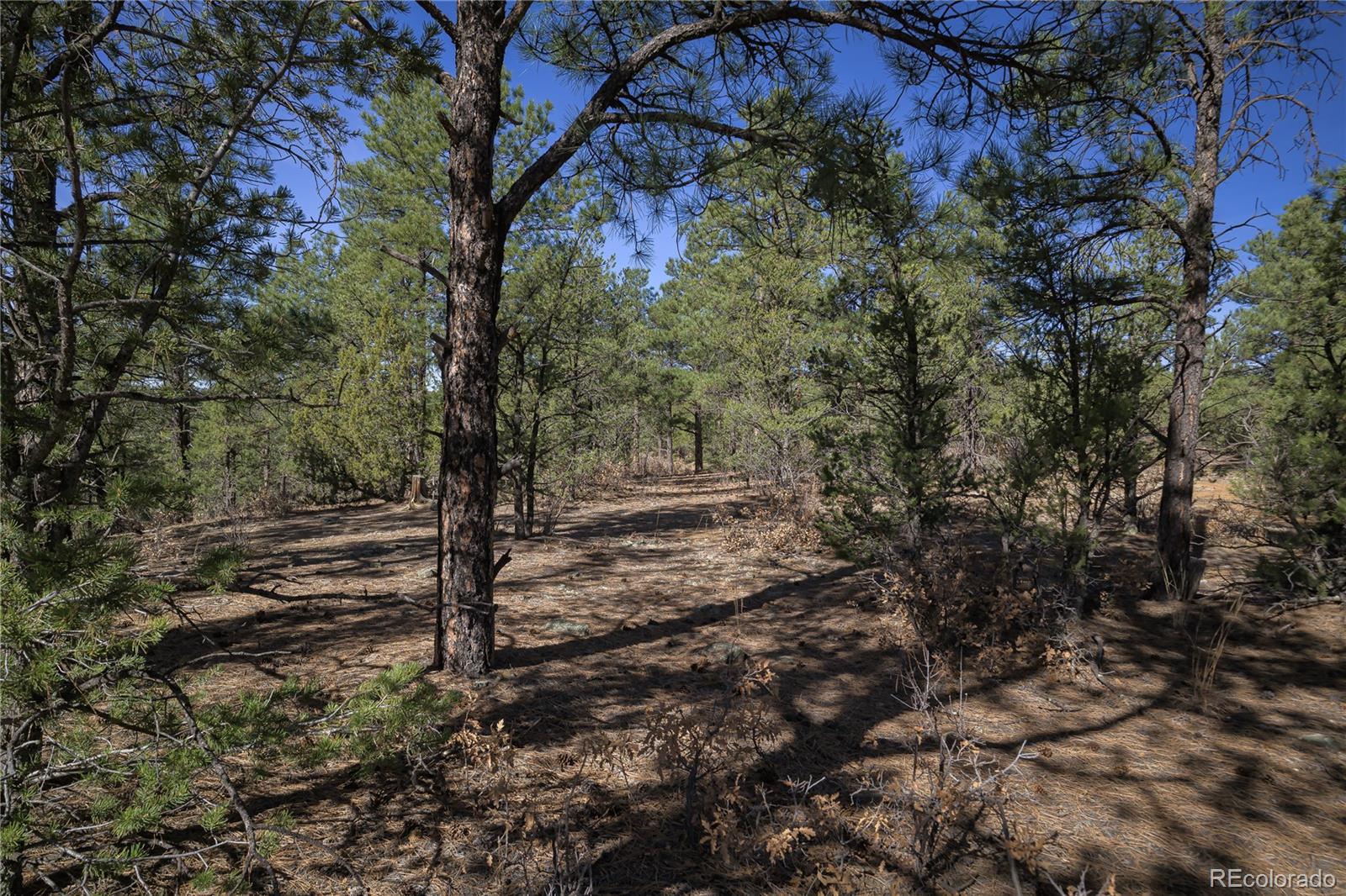 Rancho La Garita Lot 1129 Weston CO 81091