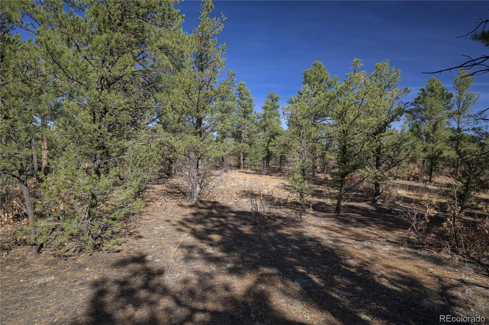 Rancho La Garita Lot 1129 Weston CO 81091