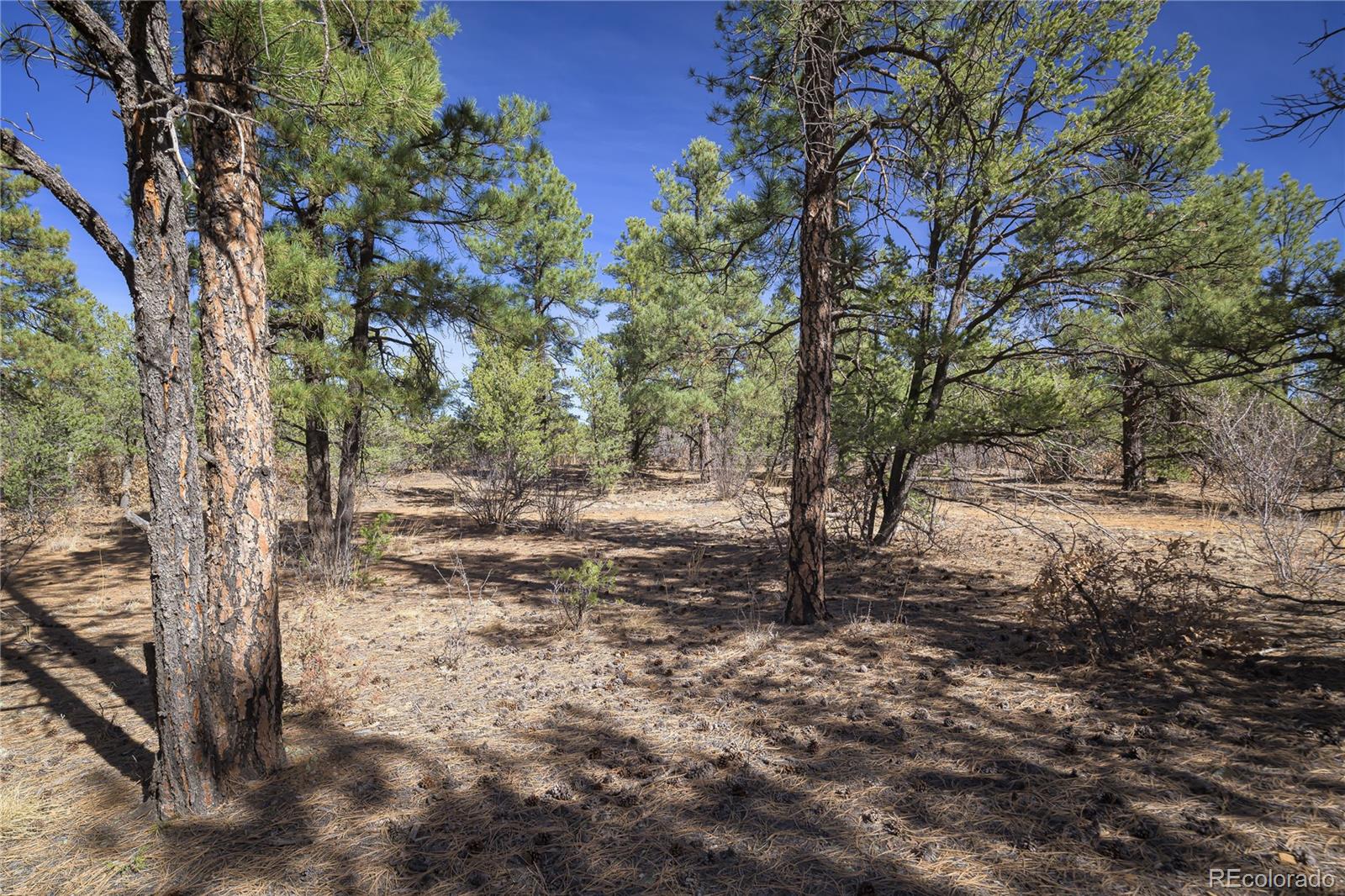 Rancho La Garita Lot 1129 Weston CO 81091