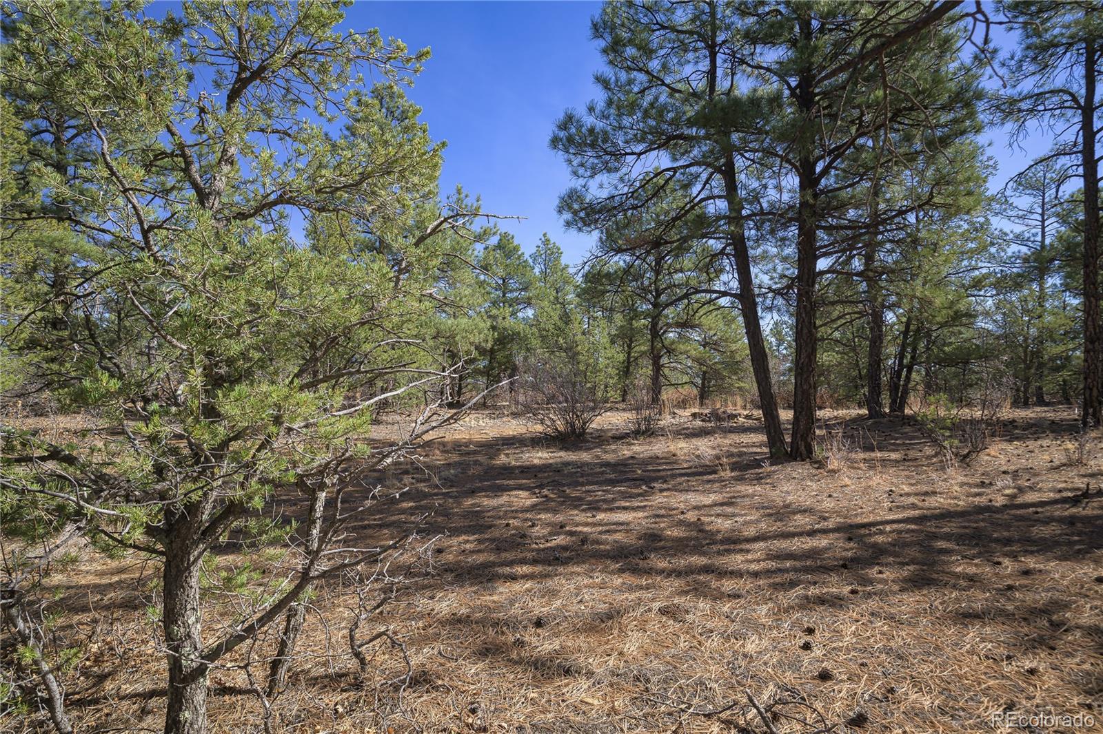 Rancho La Garita Lot 1129 Weston CO 81091