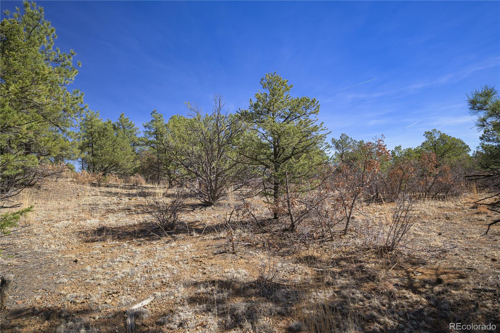 Rancho La Garita Lot 1129 Weston CO 81091