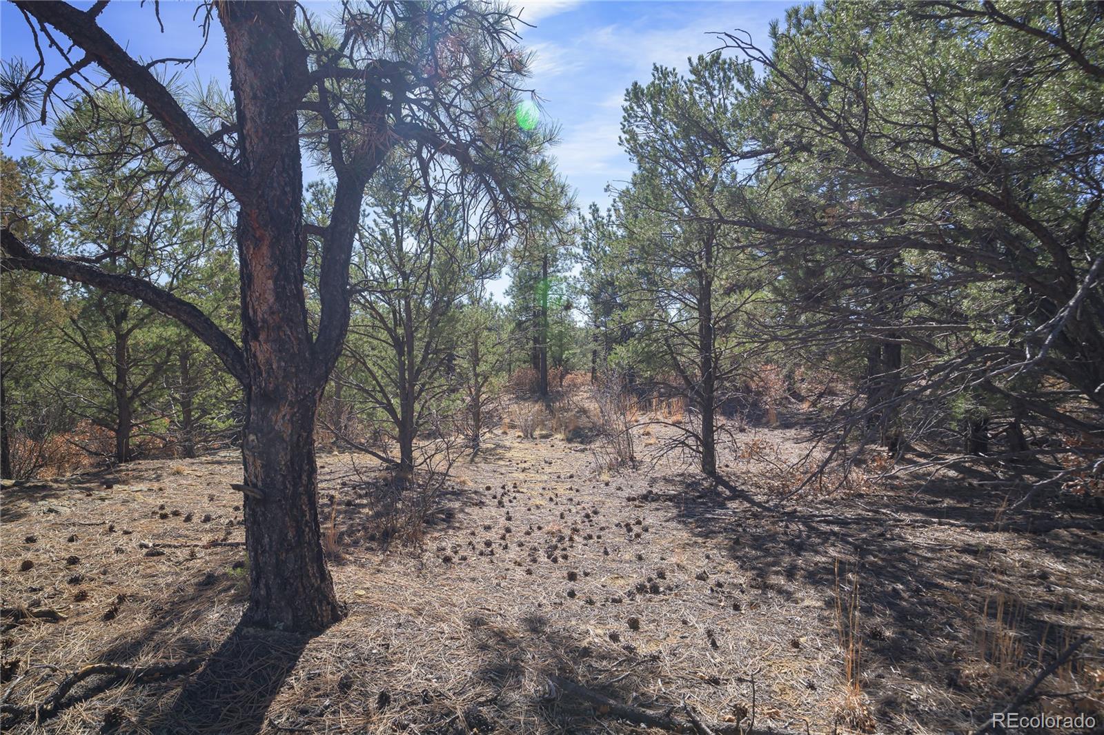 Rancho La Garita Lot 1129 Weston CO 81091