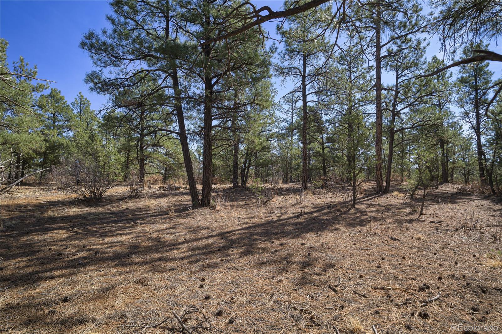 Rancho La Garita Lot 1129 Weston CO 81091