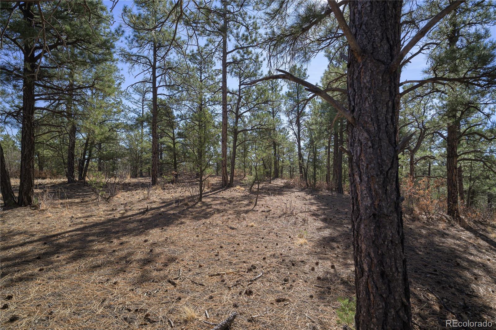 Rancho La Garita Lot 1129 Weston CO 81091