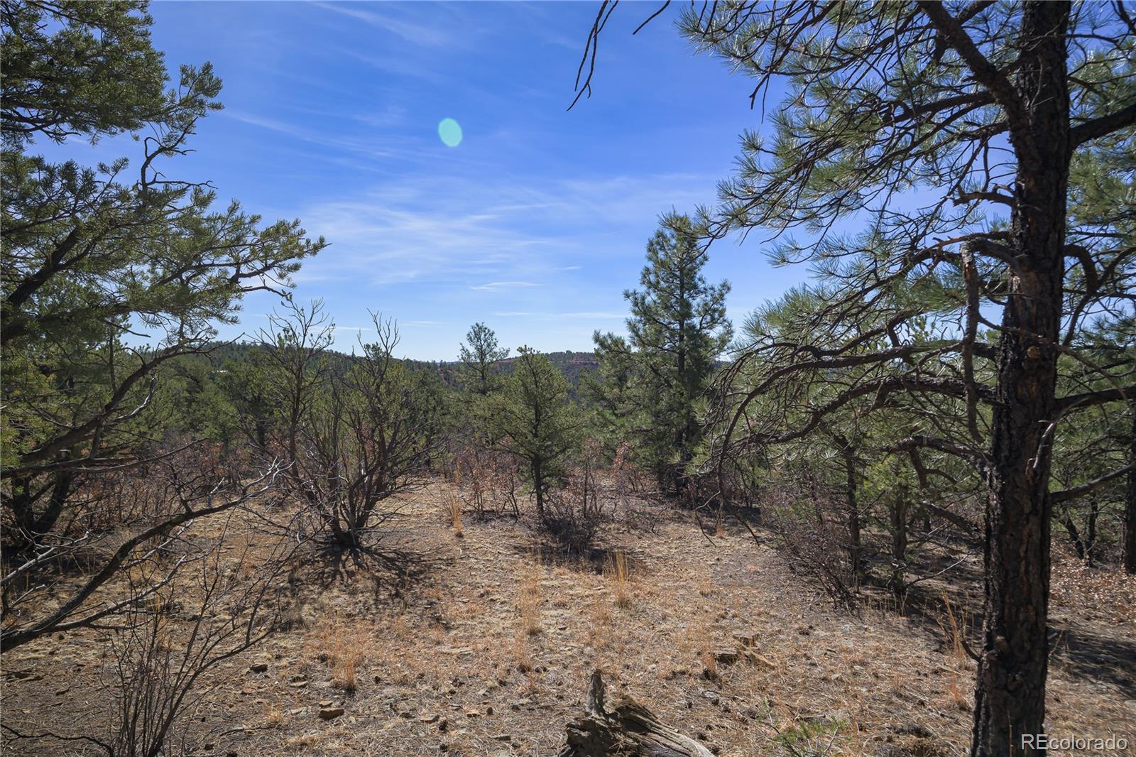 Rancho La Garita Lot 1129 Weston CO 81091