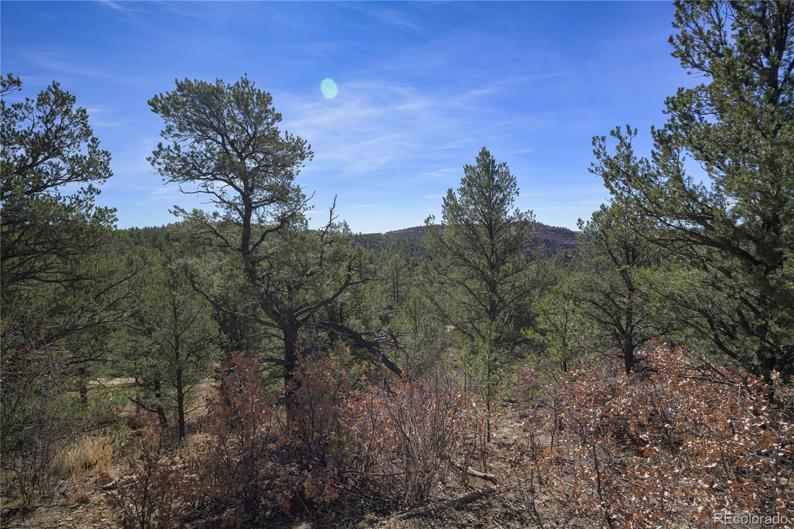 Rancho La Garita Lot 1129 Weston CO 81091