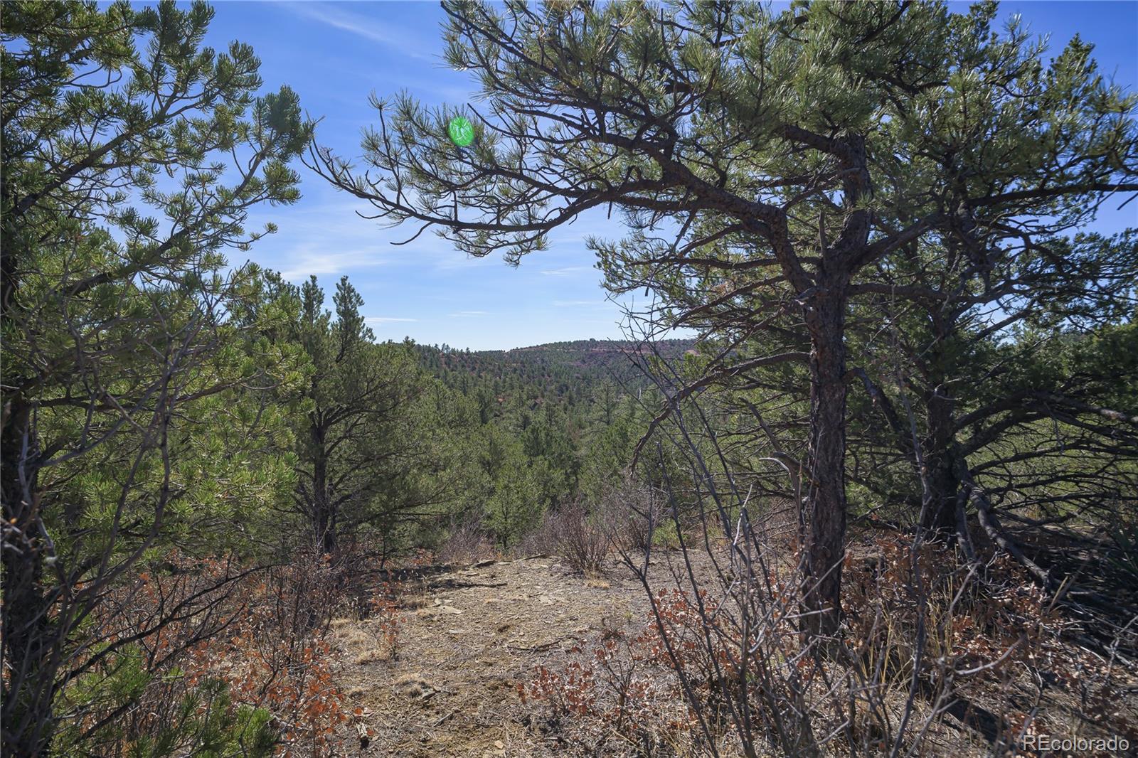 Rancho La Garita Lot 1129 Weston CO 81091