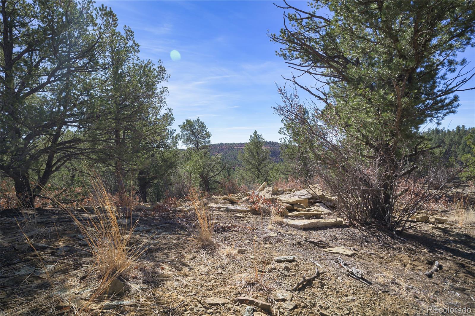 Rancho La Garita Lot 1129 Weston CO 81091