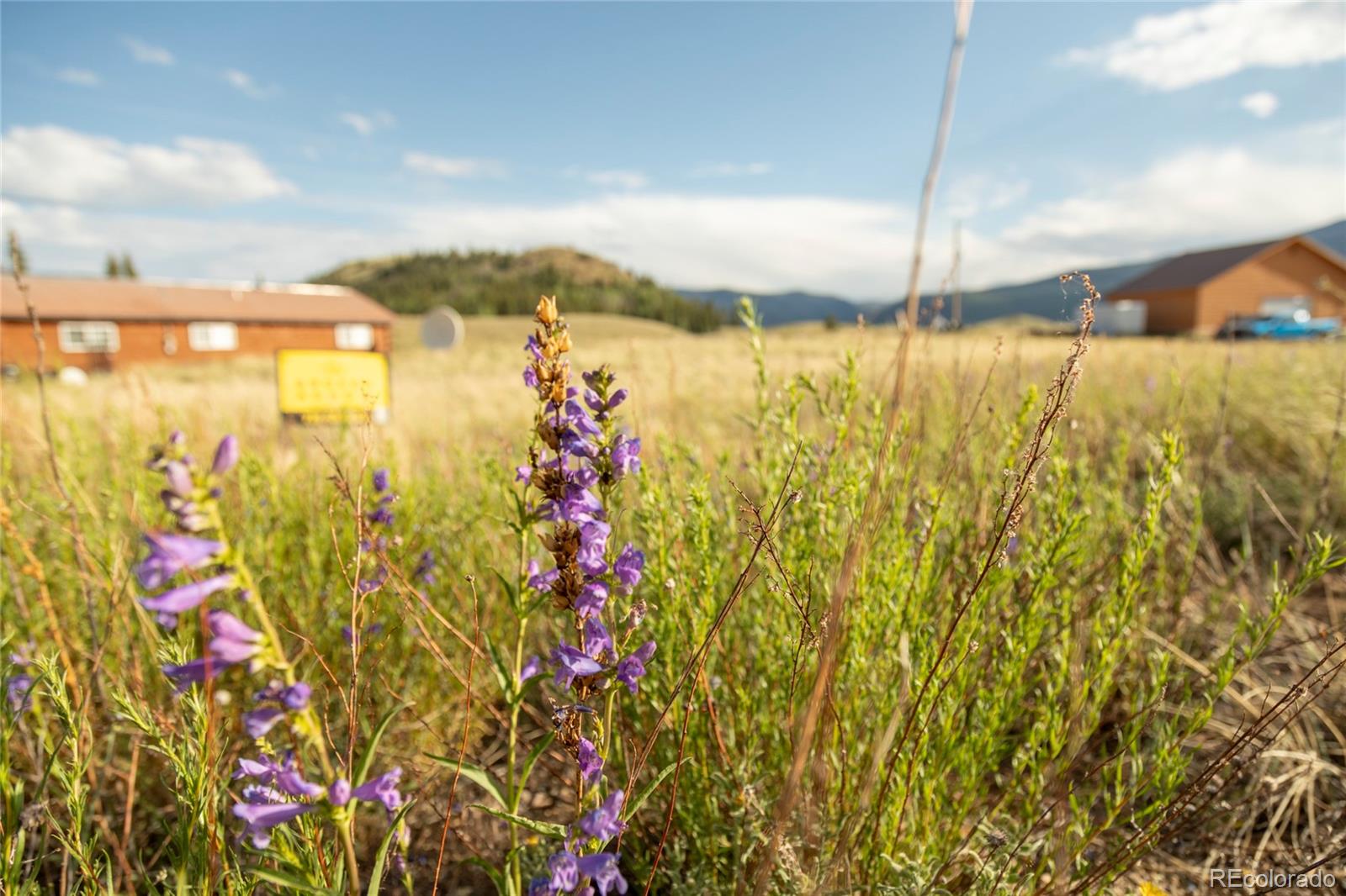 438 Spruce Drive Creede CO 81130