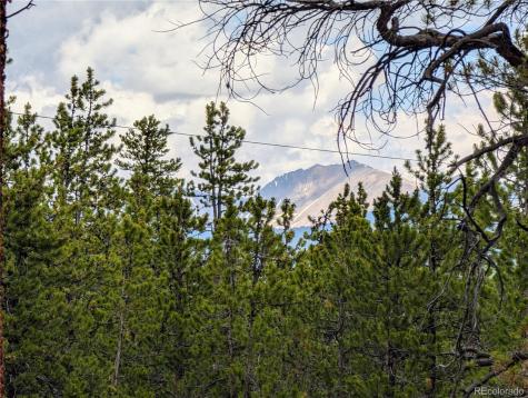 1073 Sequoia Drive Twin Lakes CO 81251