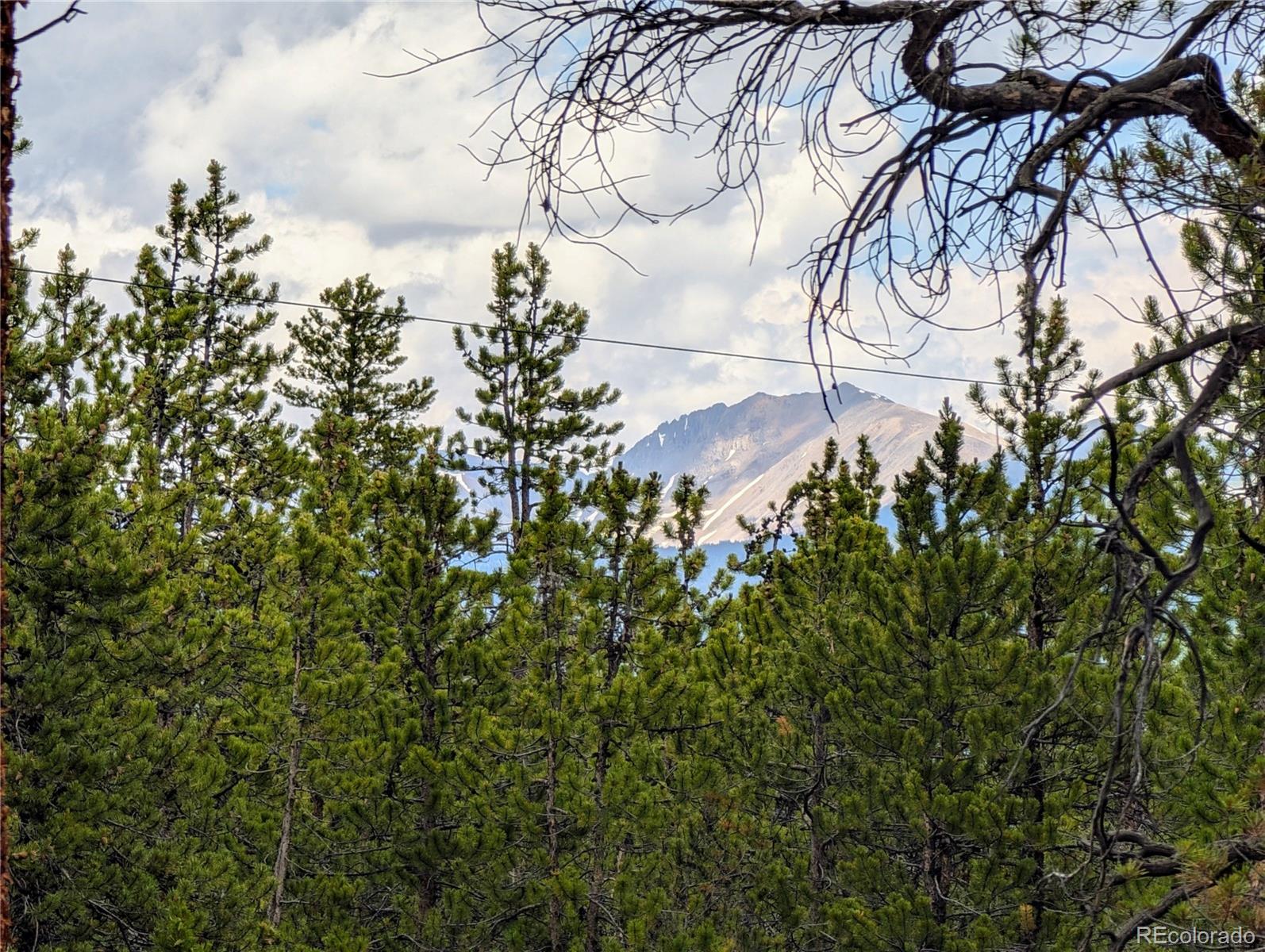 1073 Sequoia Drive Twin Lakes CO 81251