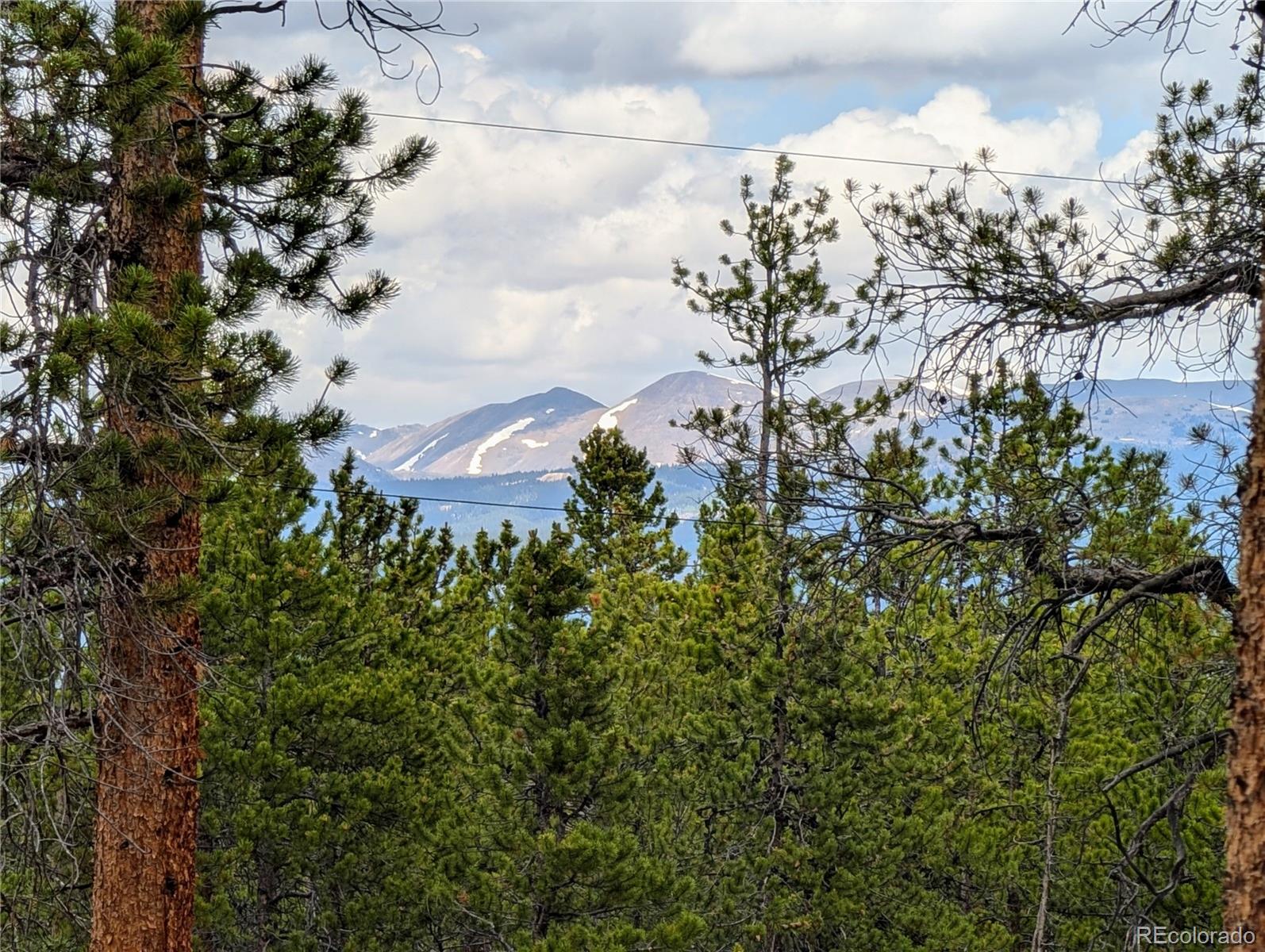 1073 Sequoia Drive Twin Lakes CO 81251