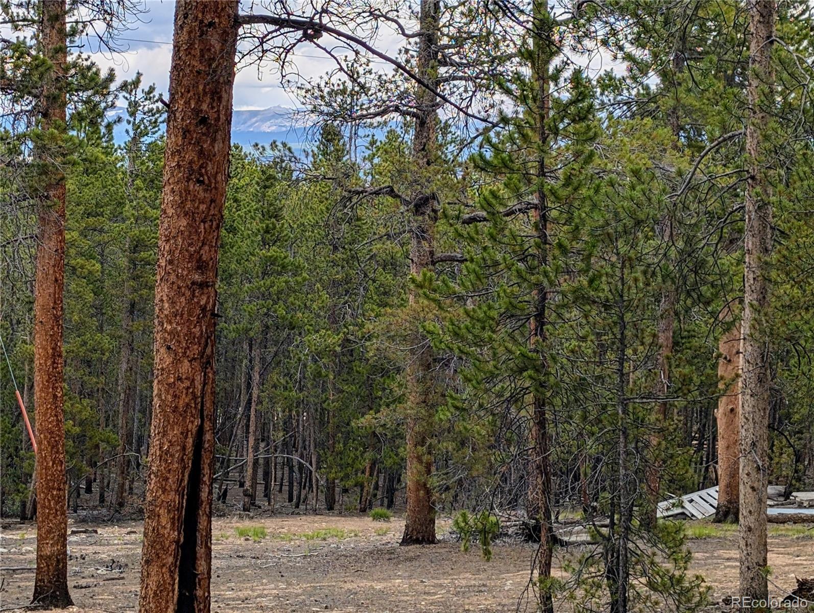 1073 Sequoia Drive Twin Lakes CO 81251