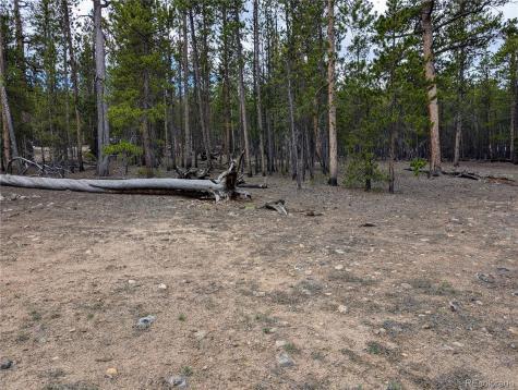 1073 Sequoia Drive Twin Lakes CO 81251