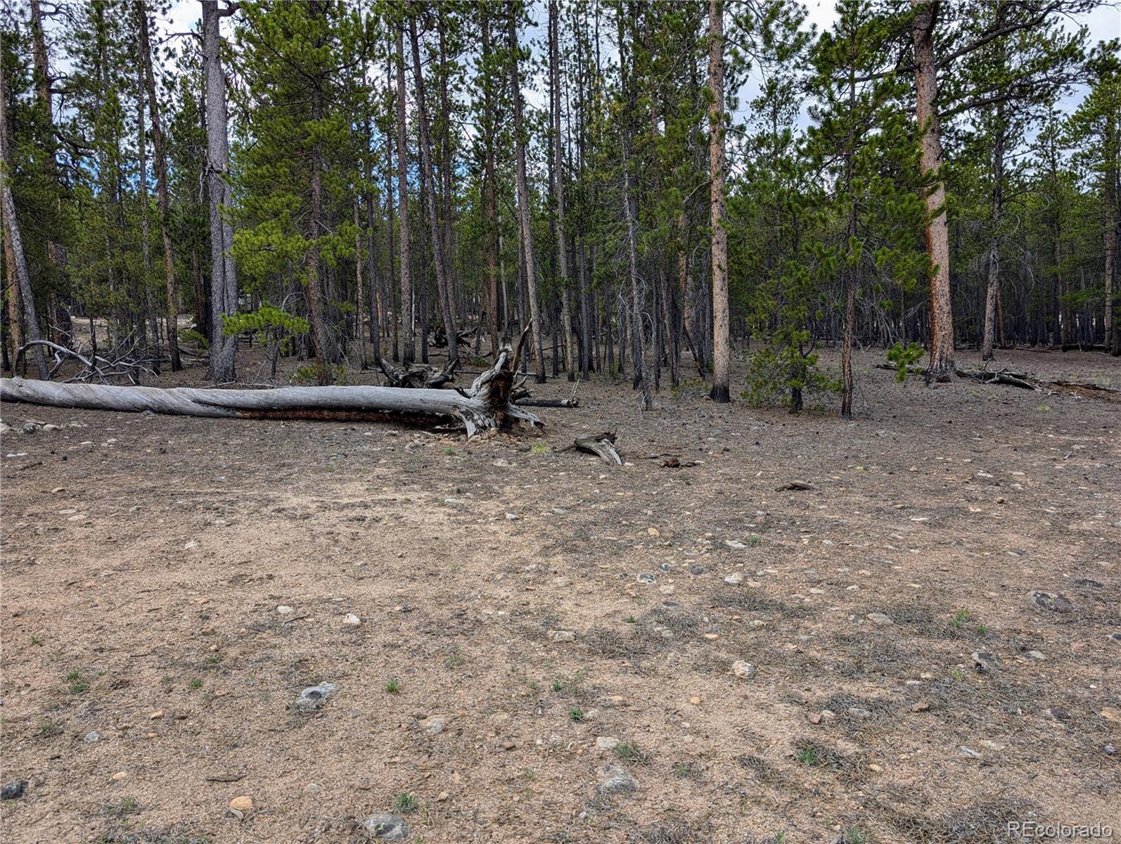 1073 Sequoia Drive Twin Lakes CO 81251