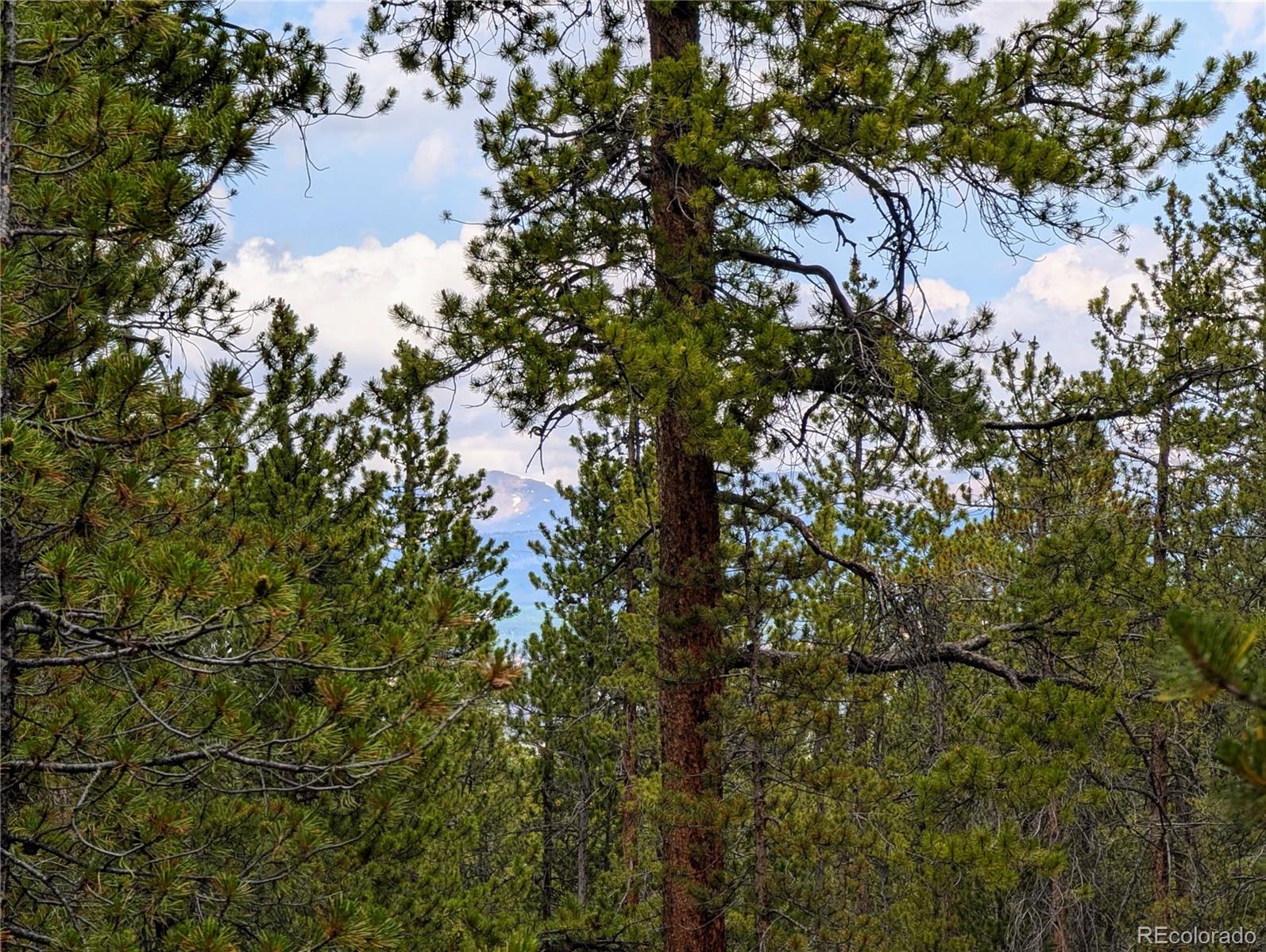1073 Sequoia Drive Twin Lakes CO 81251