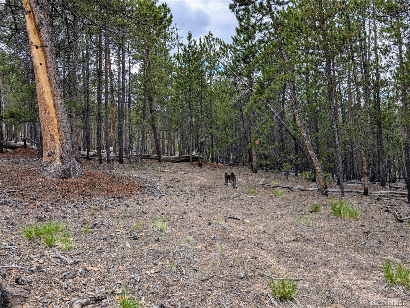 1073 Sequoia Drive Twin Lakes CO 81251