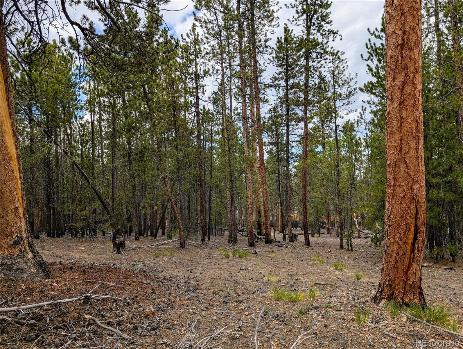 1073 Sequoia Drive Twin Lakes CO 81251