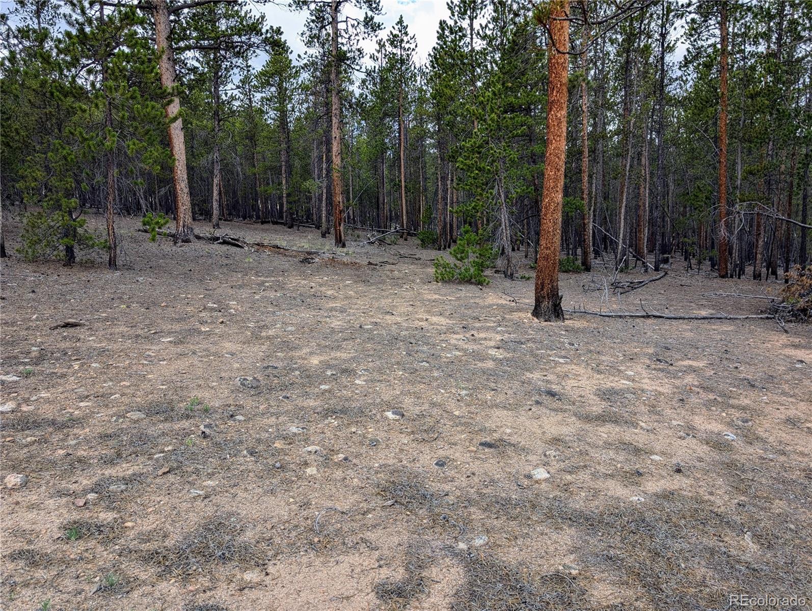 1073 Sequoia Drive Twin Lakes CO 81251