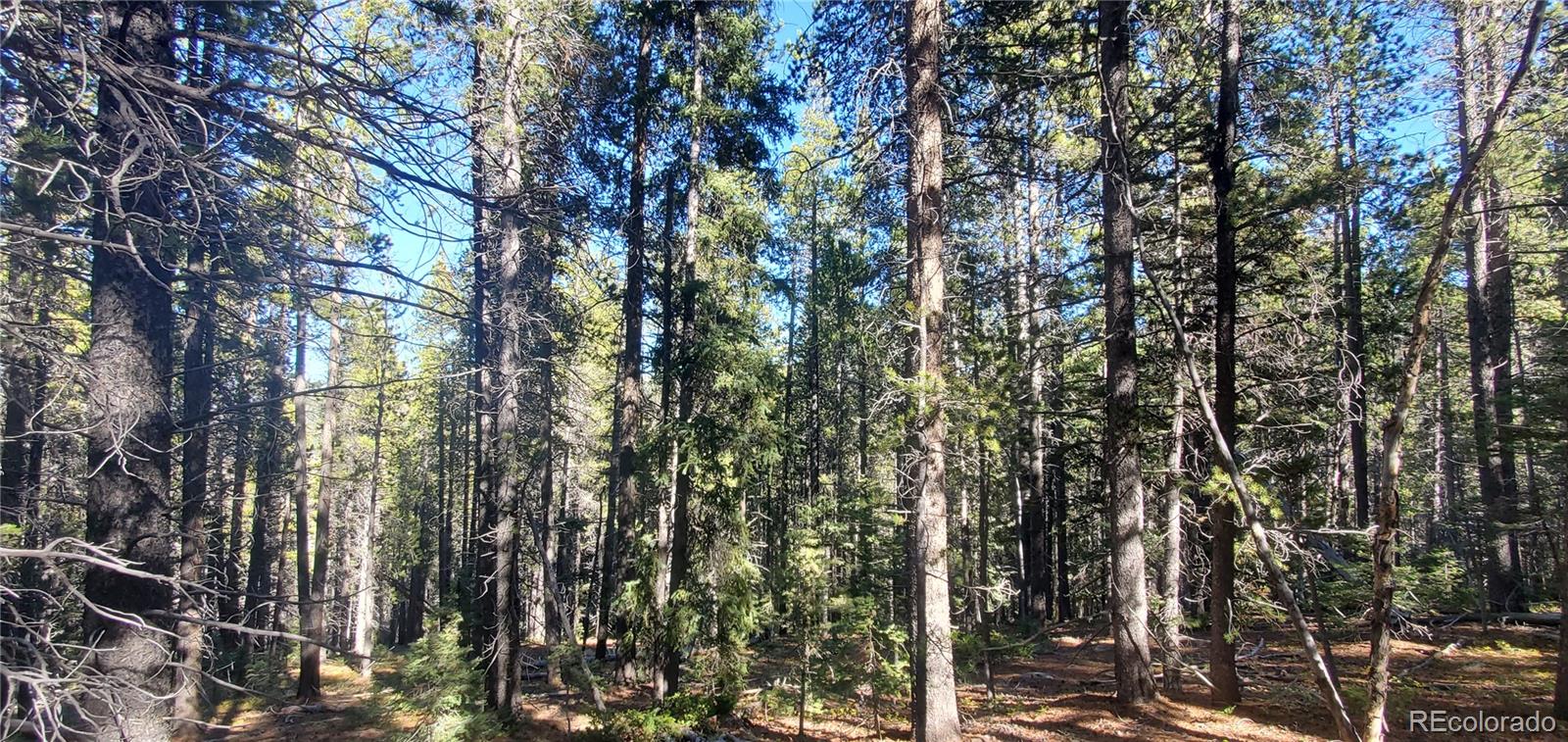 Lot 2999 & 2998 Drexler Place Fort Garland CO 81133