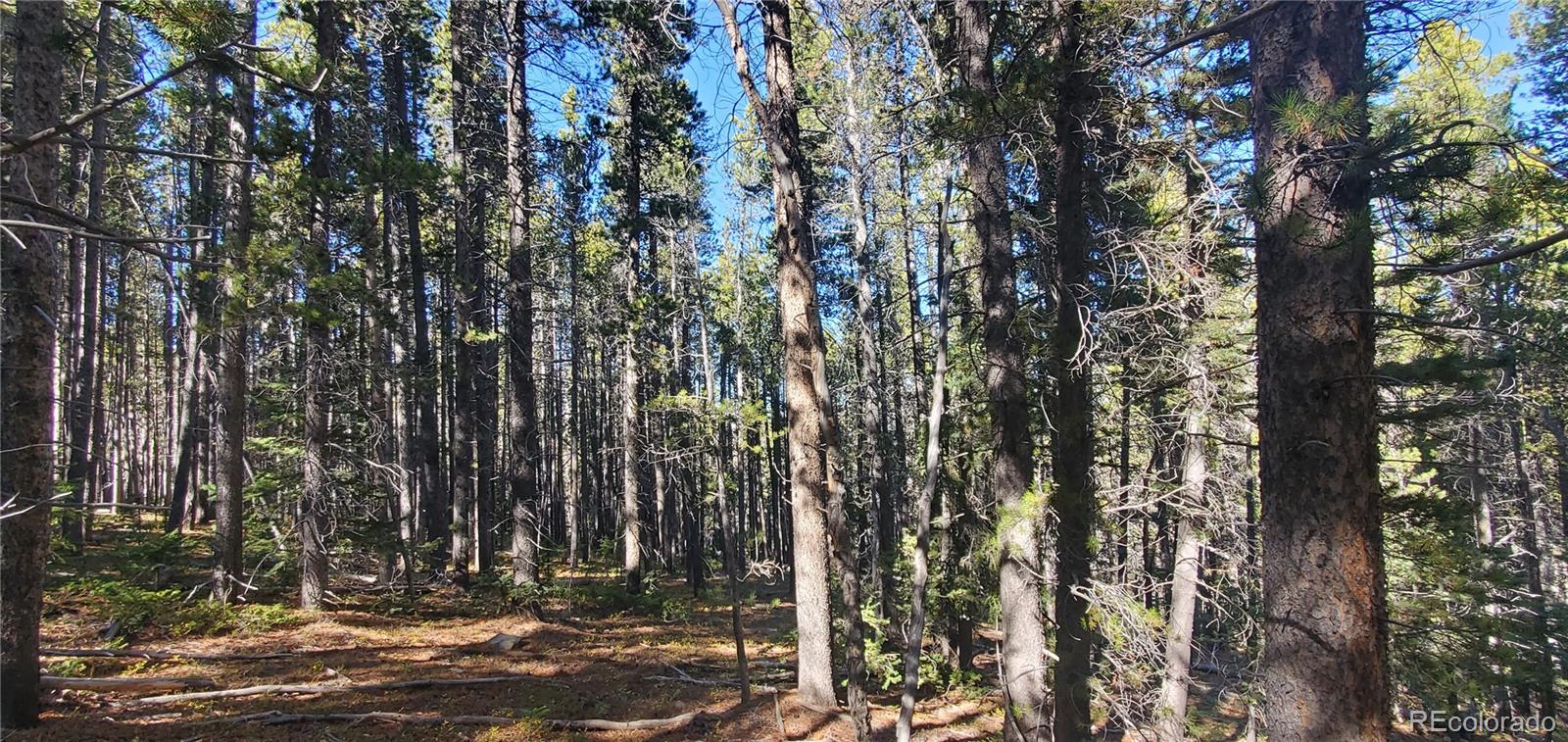 Lot 2999 & 2998 Drexler Place Fort Garland CO 81133
