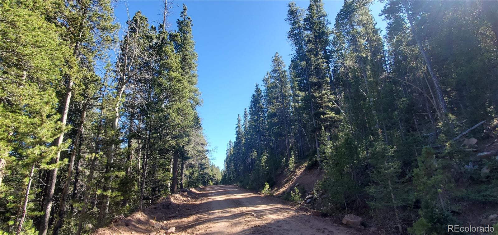 Lot 2999 & 2998 Drexler Place Fort Garland CO 81133