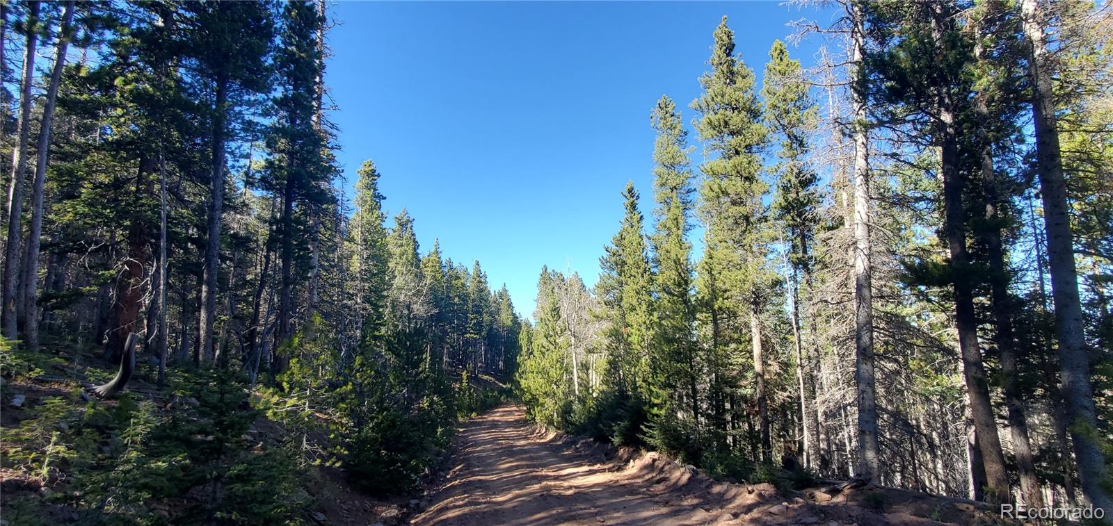 Lot 2999 & 2998 Drexler Place Fort Garland CO 81133
