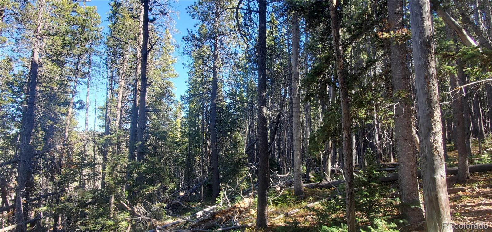 Lot 2999 & 2998 Drexler Place Fort Garland CO 81133